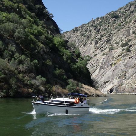 Douro Yacht Charter & Bungalows São João da Pesqueira Bagian luar foto