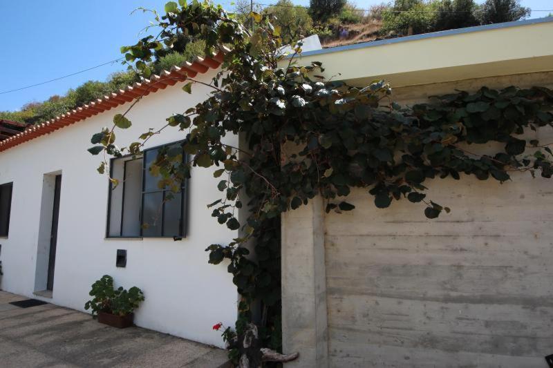 Douro Yacht Charter & Bungalows São João da Pesqueira Bagian luar foto