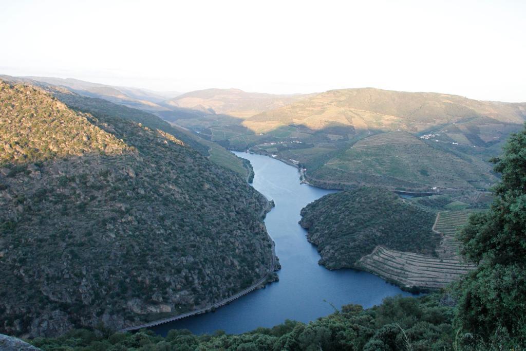 Douro Yacht Charter & Bungalows São João da Pesqueira Bagian luar foto