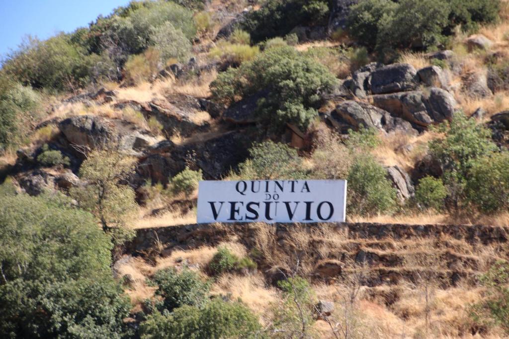 Douro Yacht Charter & Bungalows São João da Pesqueira Bagian luar foto