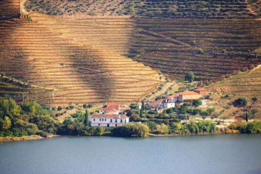 Douro Yacht Charter & Bungalows São João da Pesqueira Bagian luar foto