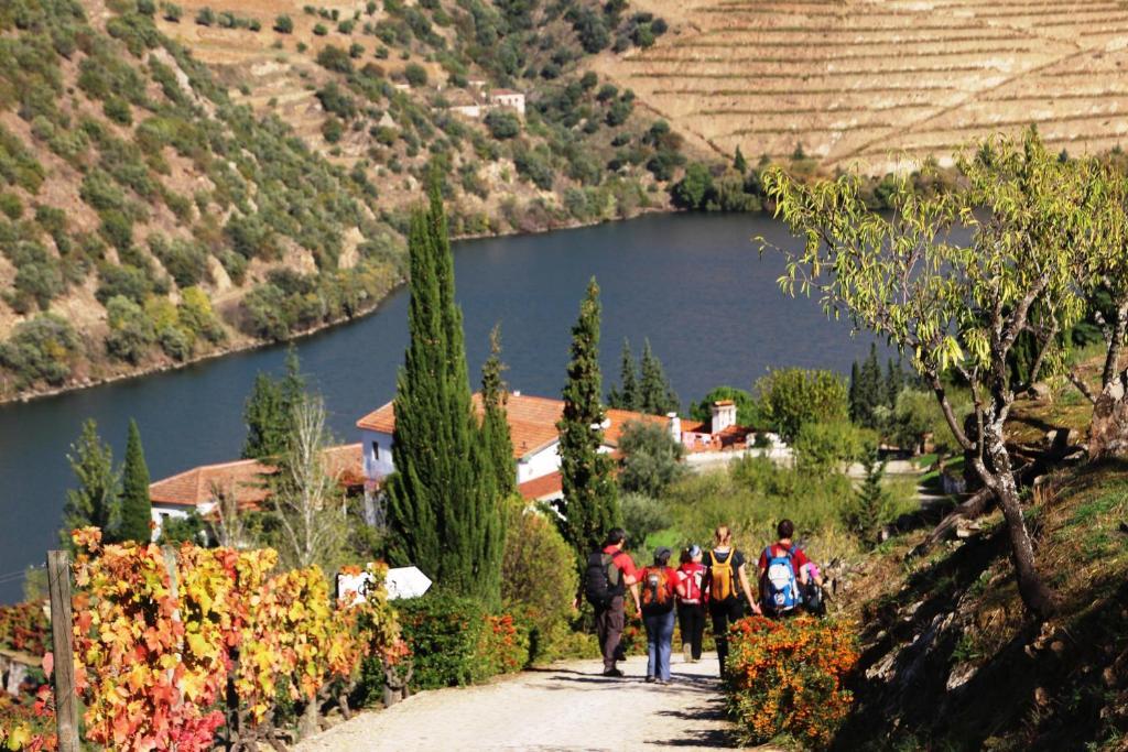 Douro Yacht Charter & Bungalows São João da Pesqueira Bagian luar foto