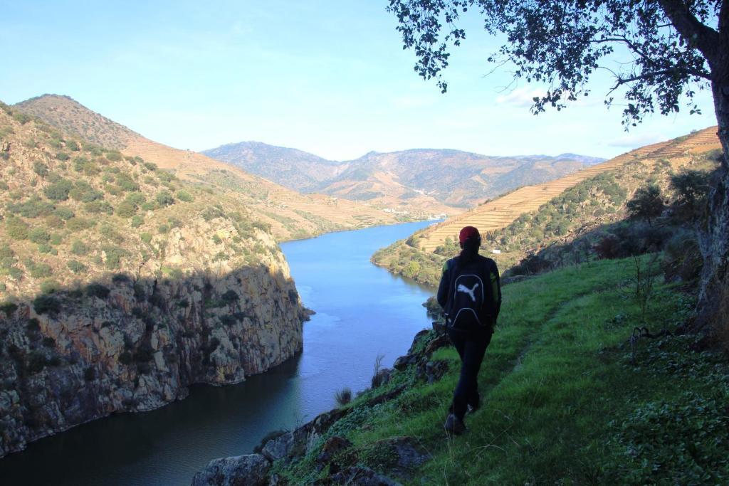 Douro Yacht Charter & Bungalows São João da Pesqueira Bagian luar foto