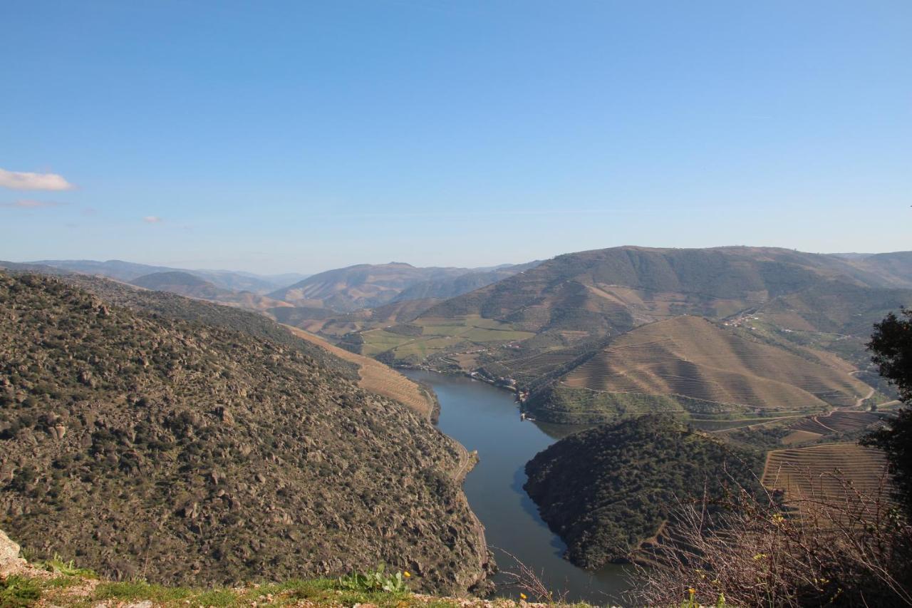 Douro Yacht Charter & Bungalows São João da Pesqueira Bagian luar foto